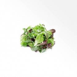 MESCLUN BIO (APPROX. 100 GR.)